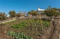 Malaga Living Villas